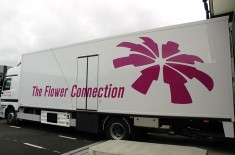 The Flower Connection